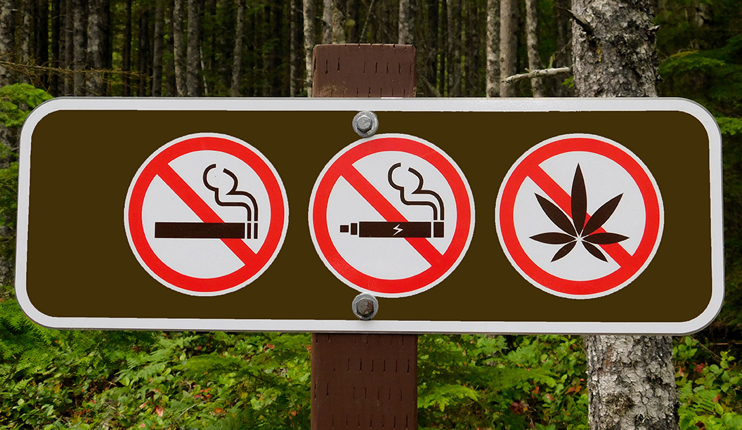 a no smoking sign in a public park